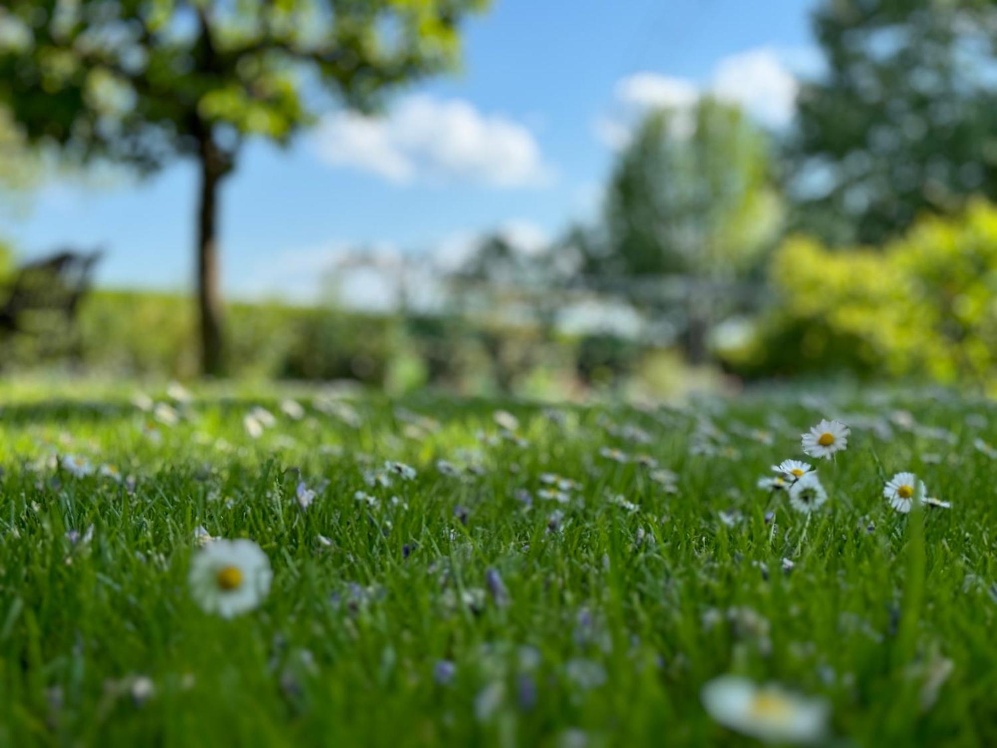 Green Oasis Garden Sencur Ngoại thất bức ảnh